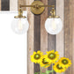 Frendorf | Runde Wohnzimmer Wandleuchte Industriell Klarglas 2-Lampe Schwarz/Messing Wandlampe für das Arbeitszimmer
