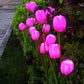 Solar Tulpe Rasenlicht Außen Garten LED Tulpe Blumenlicht Bodenstecker Landschaftslicht