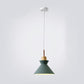 Frendorf | AuroraLite Nordic Pendelleuchte | Metall-Design | 1-Licht | Moderne Farboptionen