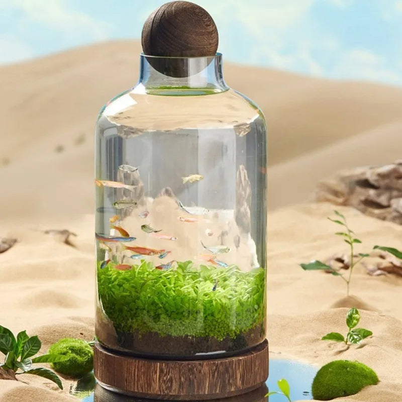 Frendorf | Mikro Aquarium Kompaktglas Ökologischer Fischtank
