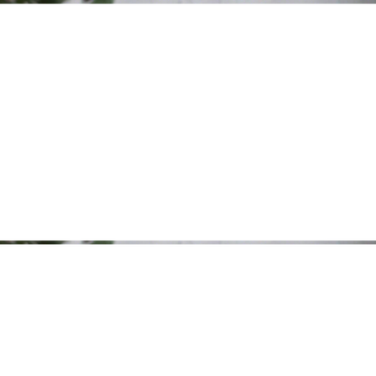 Frendorf | 15 W kabellose Ladestation | 3 in 1 faltbar und tragbar