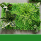 Verdant Oasis Botanisches Panel - Premium-Kunststoff-Blumenwandkunst