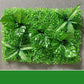 Verdant Oasis Botanisches Panel - Premium-Kunststoff-Blumenwandkunst