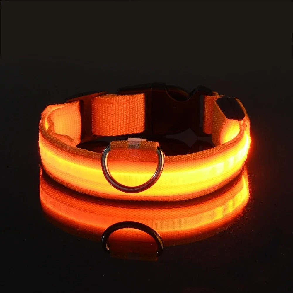 Frendorf | BrightPaws LED Leine und Leuchthalsband | Sicherheitsset für Hunde | Sichtbarkeit & Stil