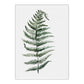 Frendorf | Botanical Leaf Print Wall Art Minimalism Texture Canvas in Pastel Color for Living Room