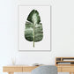 Frendorf | Botanical Leaf Print Wall Art Minimalism Texture Canvas in Pastel Color for Living Room