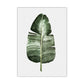 Frendorf | Botanical Leaf Print Wall Art Minimalism Texture Canvas in Pastel Color for Living Room