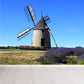 Vollformatfotografie Moderne Wandtapete mit Windmühle und Grasland in Grün
