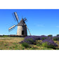 Vollformatfotografie Moderne Wandtapete mit Windmühle und Grasland in Grün