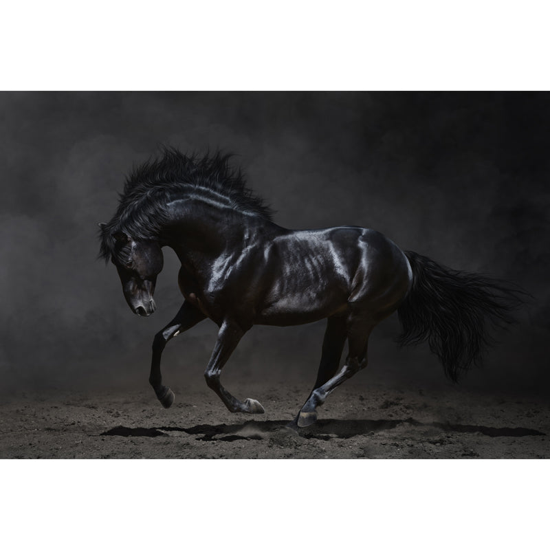 Whole Smart Steed Wandtapete für Wanddekoration Modernes Jungenzimmer Wandkunst