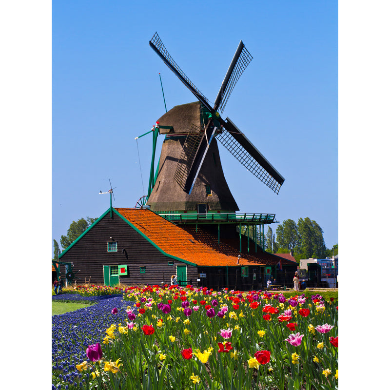 Ganzes Windmühlenblick Wandmural Tapete für Wanddekor zeitgenössisches Mädchenzimmer Wandkunst