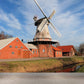 Ganzes Windmühlenblick Wandmural Tapete für Wanddekor zeitgenössisches Mädchenzimmer Wandkunst