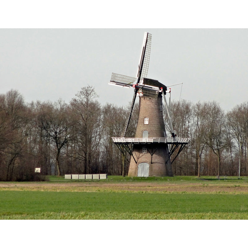 Großes Statisches Windmühlen-Wandbild Tapete Modernes Landschafts-Wanddekor in heller Farbe