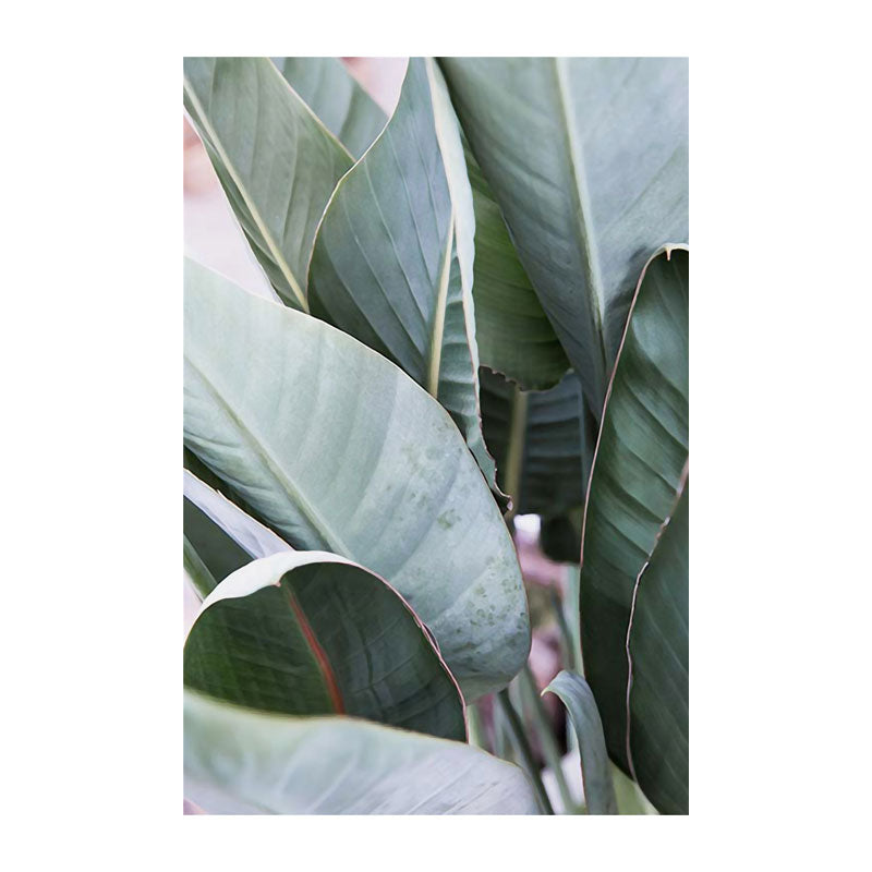 Frendorf | Botanische Wandkunst Nordic Texturiertes Wohnzimmer Leinwanddruck in Hellfarbe