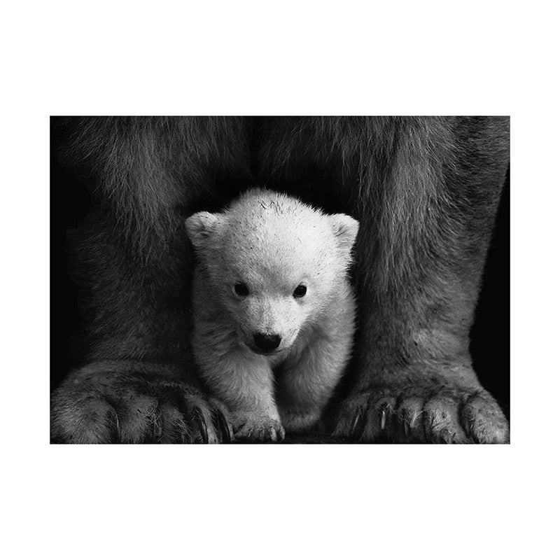 Frendorf | Polar Bear Baby Wandkunst Moderne Texturierte Leinwanddruck in Schwarz-Grau für das Kinderzimmer