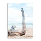 Frendorf | Beach Bare Trunk Seascape Leinwanddruck Tropen Texturiertes Wandkunst in Hellblau