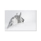 Frendorf | Contemporary Paard Wandkunst Lichte Kleur Textuur Canvasprint voor Eetkamer