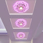 Frendorf | IlluBloom LED Deckenleuchte | Kreatives Blütendesign | Runde Deckenlampe | Energieeffizient & Modern