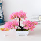 Frendorf | BlossomBonsai künstlicher Baum – realistischer Mini-Bonsai mit rosa Blüte