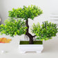 Frendorf | BlossomBonsai künstlicher Baum – realistischer Mini-Bonsai mit rosa Blüte