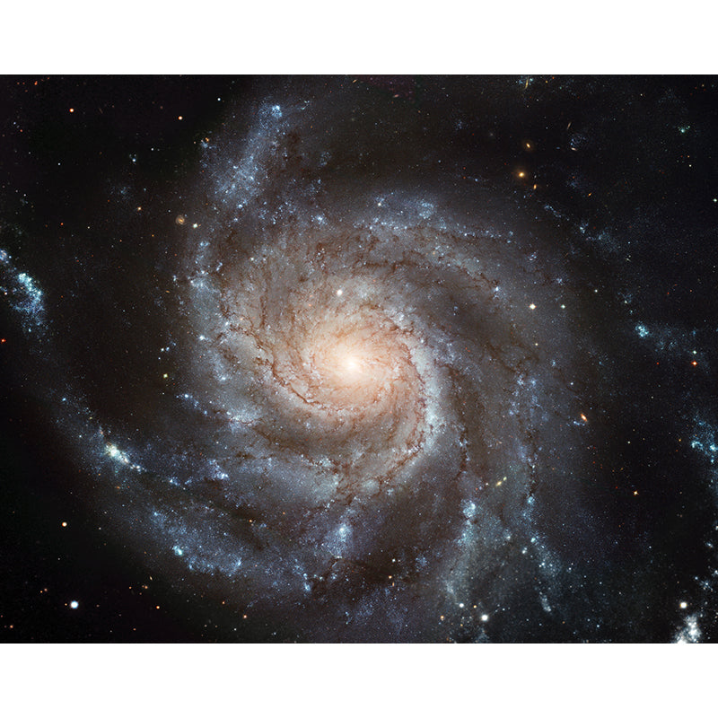 Moderne Sterne Spiral Wandtapete Vliesstoff Fleckenbeständiges Wandkunst in dunkler Farbe für Jungen Schlafzimmer