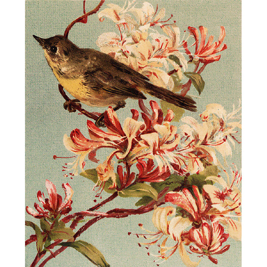 Frendorf | Braun zeitgenössisch Tapete großer Vogel und Blumenast Wandkunst für Spielzimmer