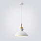 Frendorf | AuroraLite Nordic Pendelleuchte | Metall-Design | 1-Licht | Moderne Farboptionen