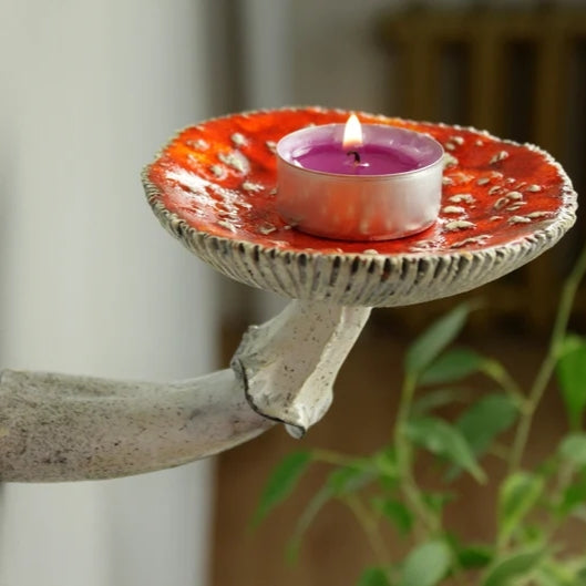 Pilz Wanddekoration