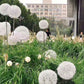 Frendorf | Solaris GlowSphere Gartenleuchte | Aluminiumkugel | LED Solarlicht | Wasserdicht | Warmweiß oder Weiß