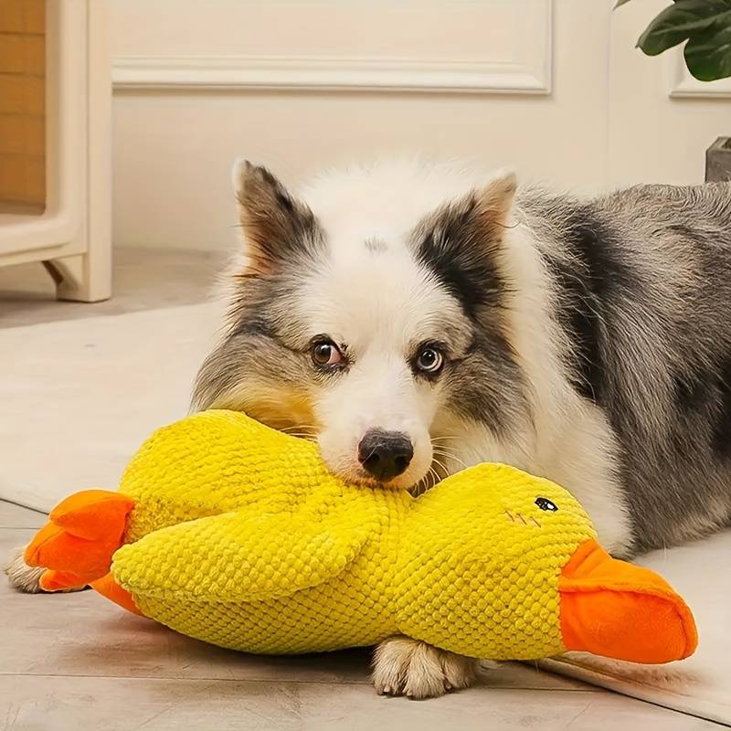 Beruhigungsente für Hunde