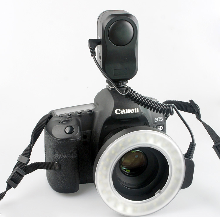 Frendorf | Universelle Reflex-Ringlichter für Fotografen