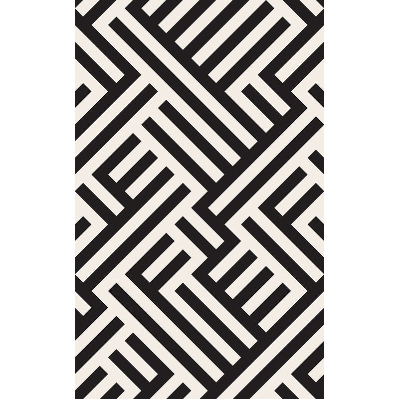 Frendorf | Modern Gestreepte Patroon Tapijt Zwart en Wit Polyester Tapijt Wasbaar Huisdiervriendelijk Antislip Area Tapijt voor Woonkamer
