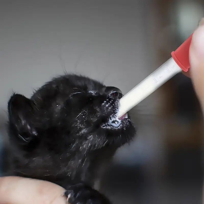 Frendorf | 10er-Pack Bunte Silikon-Augentropfer – Basteln, Gummibärchen herstellen, Bonbonformen