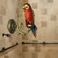 Frendorf | Rustiek Vintage Rode/Blauwe Papegaai Wandlamp Gehard Glas 1 Lichts Wandarmatuur Verlichting in Messing