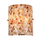 Frendorf | Shell Wandmontage Verlichting Rustieke Loft 1 Lamp Wandlamp Licht in Beige voor Woonkamer