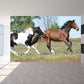 Big Horse Wandtapete Mural Fleckenresistent Modernes Familienzimmer Wandkunst, Individueller Druck