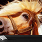 Big Horse Tapete Wandbild Fleckenbeständig Modernes Familienzimmer Wandkunst, Maßgeschneiderter Druck