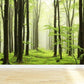 Frendorf | Moderne Stil Landschaft Wandtattoo Vliesstoff Wasserfest Pastell Wandkunst für Zuhause