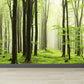 Frendorf | Moderne Stil Landschaft Wandtattoo Vliesstoff Wasserfest Pastell Wandkunst für Zuhause