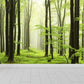 Frendorf | Moderne Stil Landschaft Wandtattoo Vliesstoff Wasserfest Pastell Wandkunst für Zuhause