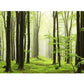 Frendorf | Moderne Stil Landschaft Wandtattoo Vliesstoff Wasserfest Pastell Wandkunst für Zuhause