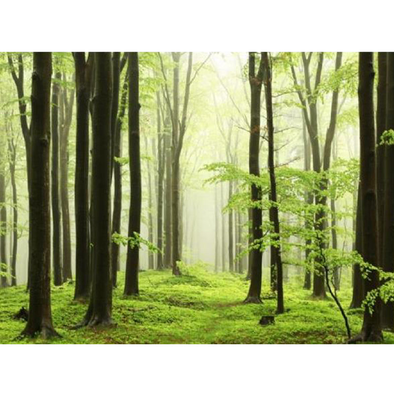 Frendorf | Moderne Stil Landschaft Wandtattoo Vliesstoff Wasserfest Pastell Wandkunst für Zuhause