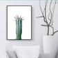 Frendorf | Bonsai Cactus Wandkunst Decor Moderne Stil Textured Leinwanddruck in Grün für Schlafzimmer