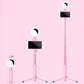 Frendorf | Modernist LED Spiegelbeleuchtung Pink Kreis USB Fülllampe mit Metallic-Schatten, Design für Handyhalter