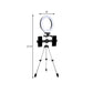 Frendorf | Kreis Metallic Vanity Beleuchtung Moderner Stil Schwarz USB LED Fill Flash Licht mit Stativ Design