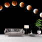 Ganzes Astronomie Wandverkleidung Wandbild Modern Vollständige Mondfinsternis Wandkunst in Schwarz