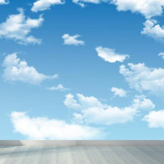 Giant Modern Mural Decal Weiche Farbe Himmel Landschaft Wanddekoration, Anpassbare Größe Verfügbar