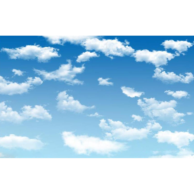 Giant Modern Mural Decal Weiche Farbe Himmel Landschaft Wanddekoration, Anpassbare Größe Verfügbar