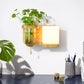 Frendorf | Holz Globe/Zylinder Wand Sconce Nordisch Creme Glas 1 Glühbirne Schlafzimmer Wandlicht mit Pflanzen Topf und Zugkette