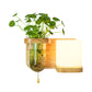 Frendorf | Holz Globe/Zylinder Wand Sconce Nordisch Creme Glas 1 Glühbirne Schlafzimmer Wandlicht mit Pflanzen Topf und Zugkette